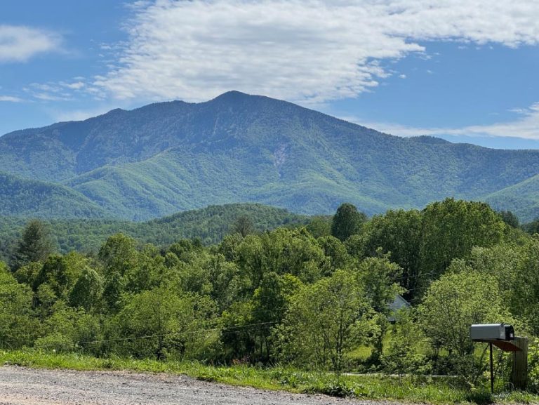 Back from Scotland, just in time for a mini-tour of western North Carolina.
